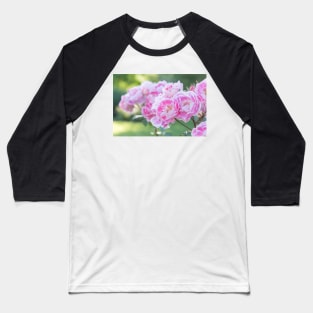 Pink and White Roses in Garden Baseball T-Shirt
